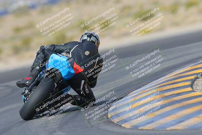 media/Mar-12-2023-SoCal Trackdays (Sun) [[d4c8249724]]/Turn 11 Backside (10am)/